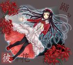  bekkourico black_hair bow dress flower hair_bow higanbana_(higanbana_no_saku_yoru_ni) higanbana_no_saku_yoru_ni long_hair mary_janes pantyhose red_eyes red_footwear shoes solo spider_lily 