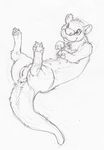  anus black_and_white female feral lying mammal monochrome mustelid nullenigma on_back otter pencils pussy sketch solo 