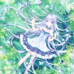  bad_id bad_pixiv_id bare_shoulders blue_dress blue_eyes blue_hair bug butterfly detached_collar dress from_above grass insect leg_ribbon long_hair lying mikazuki_sara on_back original ribbon silver_hair solo very_long_hair 
