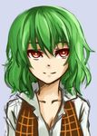  breasts cleavage face green_hair imageboard_colors kazami_yuuka pas_(paxiti) plaid plaid_vest red_eyes short_hair small_breasts solo touhou upper_body vest 