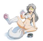  breasts canine carpet chest_tuft clitoris female fur hair hindpaw human keidran mammal mr_cat nipples nude paws plain_background pussy raine_(twokinds) solo spread_legs spreading surprise surprised tail tom_fischbach transformation tuft twokinds wolf yellow_eyes 