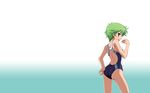  baka_to_test_to_shoukanjuu blush brown_eyes fang green_hair kudou_aiko short_hair swimsuit vfenster 