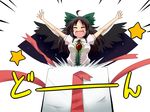  black_hair black_wings box hair_ribbon in_box in_container kuze reiuji_utsuho ribbon smile solo touhou wings 