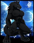  alora alora_(walter_sache) anthro biceps big_breasts black black_fur blue_eyes breasts canine claws female fur hair hindpaw long_hair looking_at_viewer mammal muscles muscular_female naturally_censored night nipple_tuft paws photo_background solo tail tuft walter_sache wolf 
