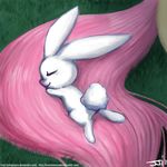  angel_(mlp) cute equine eyes_closed female feral fluttershy_(mlp) friendship_is_magic grass horse john_joseco lagomorph male mammal my_little_pony pony rabbit sleeping 