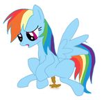  blush equine feces female feral friendship_is_magic mammal my_little_pony pegasus rainbow_dash rainbow_dash_(mlp) scat solo wings 