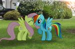  cute cutie_mark daytime equine female feral fluttershy_(mlp) friendship_is_magic grass hair horse house kissing lesbian mammal mixed_media multi-colored_hair my_little_pony pegasus pink_hair plants ponies_in_real_life pony rainbow_dash_(mlp) rainbow_hair real tree wings wood 