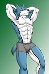  anthro biceps big_muscles bulge canine dog doggy_kruger harumino male mammal muscles nipples pecs pose power_rangers_spd solo topless underwear 