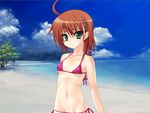  1girl beach game_cg green_eyes norn outdoors sky solo swimsuit 