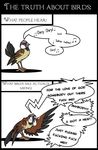  avian bird comic dialog dialogue english_text female feral house_sparrow humor plain_background solo sparrow text the_truth white_background 