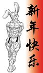  blush boxer_shorts chinese_text clothing foreign_text lagomorph lapine male mammal muscles newberrychucks rabbit shorts solo text translated 