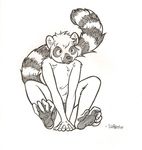  black_and_white fluffy_tail hair hindpaw lemur looking_at_viewer male monochrome nude paws plain_background sitting sketch solo unimpressive white_background 