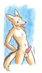 balls brown_fur canine erection front fur jackal knot looking_at_viewer male mammal nude open_mouth penis simple_background solo standing tongue tongue_out unimpressive 