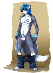  blush canine clothing flaccid looking_at_viewer male mammal pants sheath solo standing undressing vani-fox wolf 