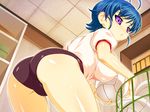  ass blue_hair breasts futafechi gym_clothes gym_uniform highres huge_breasts looking_back potato_house purple_eyes short_hair solo symbol-shaped_pupils 