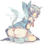  animal_ears ass bad_id bad_pixiv_id bloomers blue_eyes blue_hair blue_legwear bow cat_ears cat_tail cirno hair_bow kemonomimi_mode looking_at_viewer looking_back masirosu open_mouth short_hair simple_background sitting socks solo tail tail_wagging touhou underwear upskirt wariza wings 