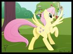  anus blue butt equine eyes female fluttershy_(mlp) friendship_is_magic horse looking_at_viewer looking_back my_little_pony pegasus pink_hair pony pussy solo tree wings wood zombieme 
