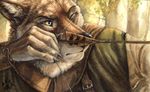 (tagmeplease!) arrow blotch bow bow_(weapon) canine claws forest male mammal outside portrait ranged_weapon scenery solo tree weapon wolf wood yellow_eyes 