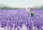  basket braid brown_hair dress field flower flower_field lavender_(flower) nature original saya_(mychristian2) scenery single_braid smile solo umbrella 
