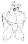  bear biceps big_breasts breasts female gideon huge_breasts hyper hyper_breasts mammal muscles muscular_female nipples solo ursine 