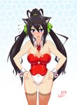  animal_ears black_hair blue_eyes breasts butter-t cat_ears corset detached_collar hands_on_hips highleg highleg_leotard hips infinite_stratos kittysuit large_breasts leotard long_hair ponytail red_leotard shinonono_houki solo split_ponytail thighhighs white_leotard wide_hips wrist_cuffs 