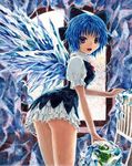 :3 ass blue_eyes blue_hair bow chair cirno dress frills frog from_behind frozen frozen_frog hair_bow ice ice_wings kabaji looking_back oil_painting_(medium) open_mouth short_hair solo thighs touhou traditional_media window wings 