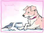  bird bowl character_request collar dog dog_food food no_humans pet_bowl souko_souji studio_ghibli translated 
