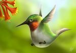  avian bird cute hummingbird overweight silverfox5213 solo 