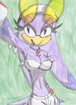  bandanna beak big_breasts bird blue_eyes blush breasts cleavage clothed clothing eyewear female gloves green_background midriff navel pants pencil_crayon plain_background purple purple_body sega solo sonic_(series) sonic_riders sunglasses swallow_(bird) uzzthehedgehog wave_the_swallow 