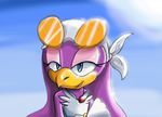  bandanna beak bird blue_eyes cloud eyelashes eyewear female half-closed_eyes moriko necklace pink_eyeliner purple purple_body sega solo sonic_(series) sonic_riders sunglasses swallow_(bird) wave_the_swallow white_clothing 