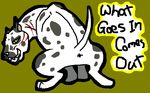  canine dog feral ginga_densetsu_weed great_dane grin hougen male mammal mizzkie scar solo spots suggestive tail yellow_eyes 
