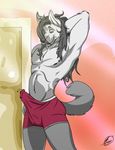  bulge canine dog erection husky male morning_wood penis solo tail underwear unknown_artist 