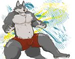  canine chubby donta looking_at_viewer maguro male mammal muscles solo underwear wolf 