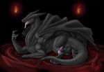  anus black blacktalons dragon erection feral male open_mouth penis precum red_eyes scalie solo tail tongue wings 