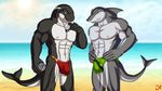  anthro beach biceps big_muscles bulge cetacean cloud dream_and_nightmare duo fish great_white_shark looking_at_viewer male mammal marine muscles orca pecs sea seaside shark sky speedo summer sunny swimming swimsuit thong trunks underwear water whale 
