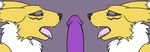  animated canine digimon disembodied_penis edit eyes_closed fox fur licking male mammal markings oral oral_sex ouisch penis penis_licking plain_background purple_penis renamon sex tongue white_fur yellow_fur 