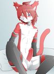  anthro bed blush cat erection feline girly hair heterochromia leather legwear looking_at_viewer male mammal midriff penis pillow pinup pose red_hair redwolfxlll solo spread_legs spreading stockings xennie 