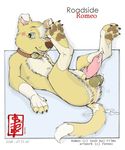  collar cum disney fennec_(artist) fox lying male mammal penis roadside_romeo romeo solo yash_raj_films 