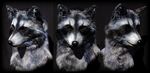  fursuit head mammal photo portrait qarrezel raccoon real realistic 