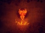  angeliq avian fire phoenix solo wallpaper warm_colors 