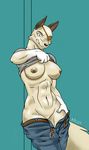  belt breasts canine clothing dalus dog eye_patch eyewear female looking_at_viewer mammal muscles nail_(character) navel nipples pants pants_down pussy shirt shirt_lift smile solo standing tail undressing 