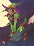  black_nose broom brown_eyes canine cloud clouds collar costume crossdressing dog flying freckles green_hair hair halloween hat holidays legwear looking_at_viewer magic_user male mammal marty moon onta pinup pose shoes solo star stockings switch tail witch 