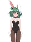  animal_ears blush bunny_ears bunnysuit fishnet_pantyhose fishnets green_hair hair_intakes hayashiya_zankurou highres oekaki omamori_himari pantyhose red_eyes shizuku_(omamori_himari) short_hair simple_background solo standing wing_collar wrist_cuffs 