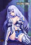  annelotte armor eiwa pantsu queen&#039;s_blade queen&#039;s_blade_rebellion thighhighs 