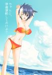  beach gien koihime_musou mizugi tagme 