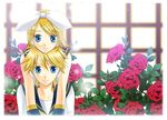  blonde_hair blue_eyes flower kagamine_len kagamine_rin ribbon ribbons rose roses vocaloid 