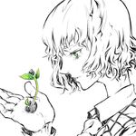  ascot face flower green_eyes hands kazami_yuuka monochrome plaid plaid_vest plant portrait profile seed short_hair solo spot_color touhou vest watata13 