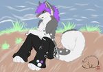  anthro antropomorfic canine cigarette citru dog fluffy_tail fur grey grey_fur hair invalid_tag k9 lester lesterhusky long_hair male mammal purple purple_hair smoking solo tail 