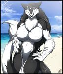  anthro big_breasts blue_eyes border breasts claws female front_view fur hair long_hair looking_at_viewer naturally_censored nipple_tuft nude photo_background pose sergal smile solo tail trish tuft walter_sache 