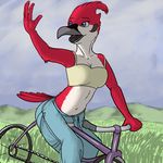  bicycle feathers female hardyrr margaret margarette red-breasted_robin red_feathers regular_show solo 